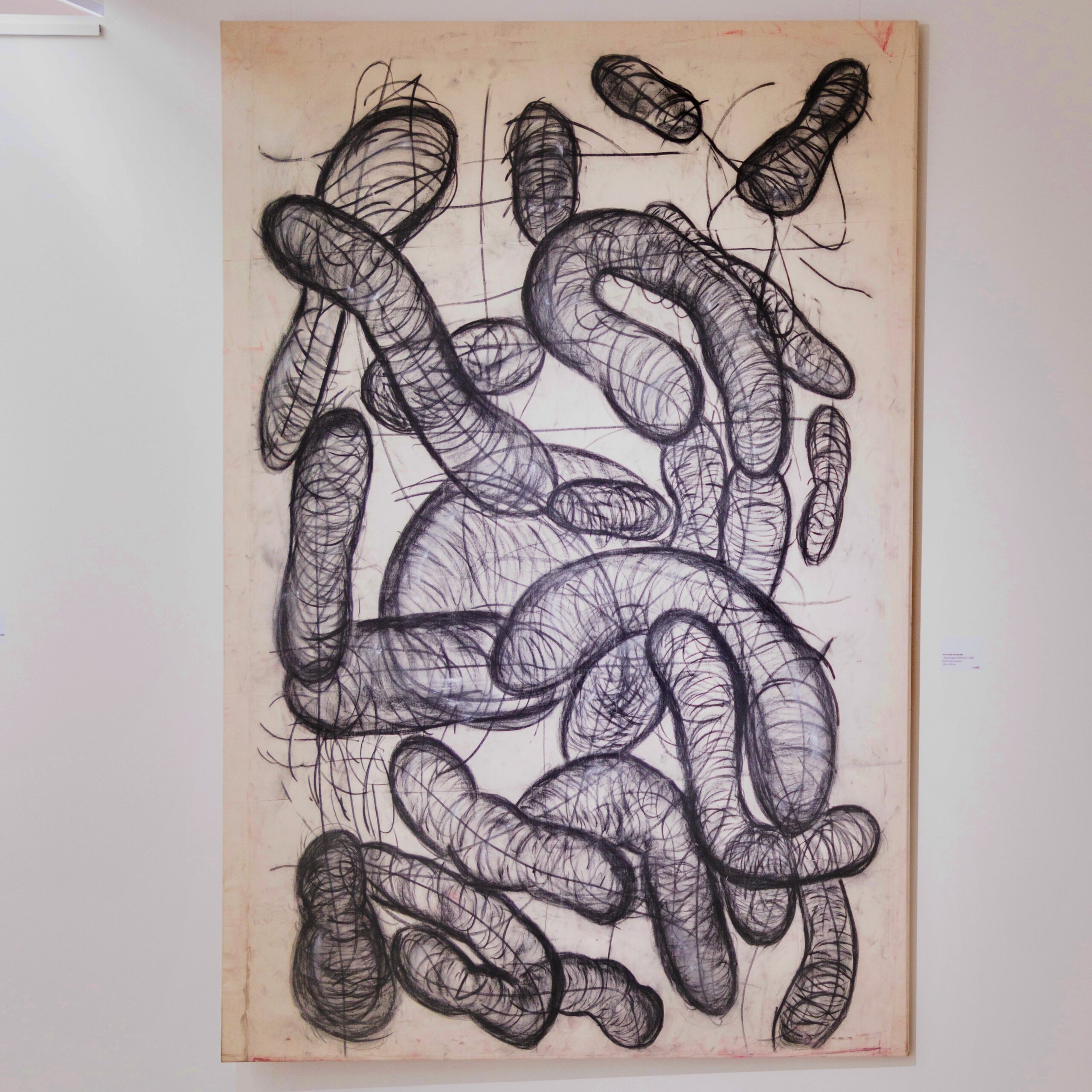 Neurological Skeletons 2025-charcoal on canvas- 220 x 160-Artist overview